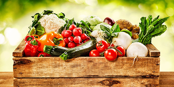 L'ortofrutta pontina si promuove in Germania