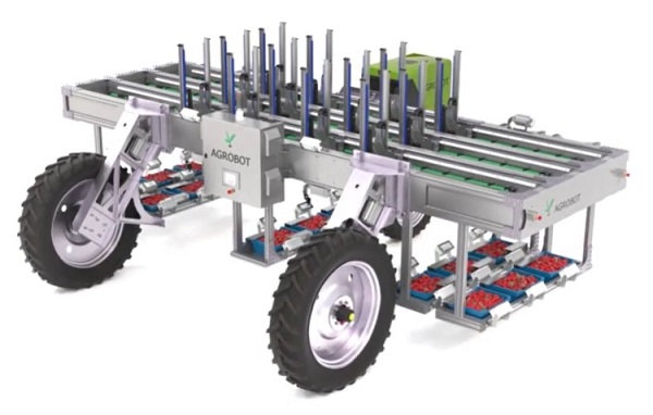 Fragole, una raccolta automatizzata con Agrorobot