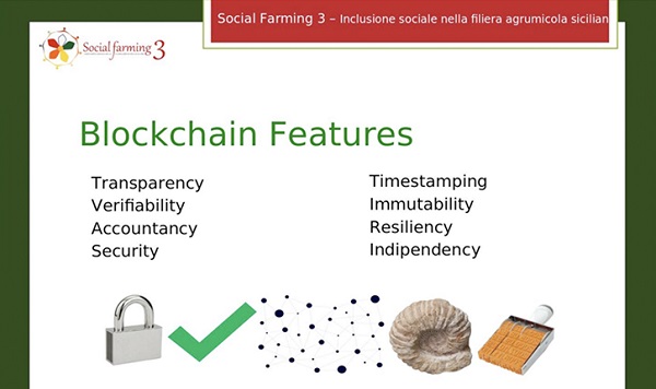 Blockchain e filiera agrumicola si studiano online