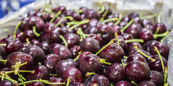Ciliegie, il Cile verso la superproduzione
