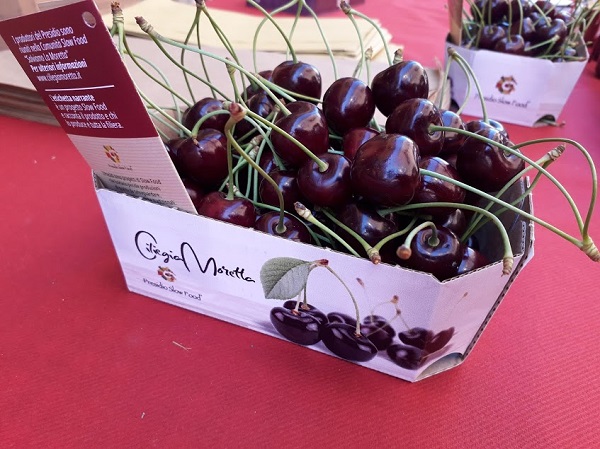 Al via la campagna della Ciliegia Moretta presidio Slow Food