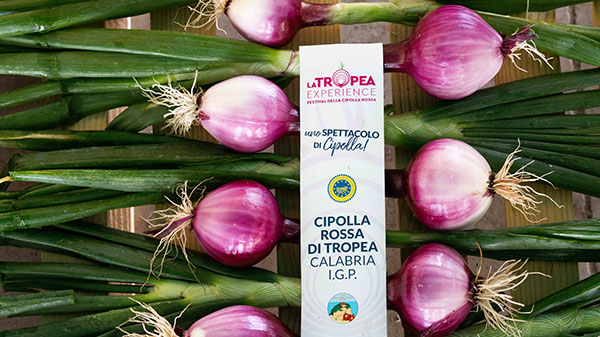 Cipolla di Tropea Igp, produzione in aumento