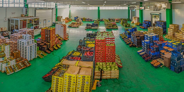 Il mercato ortofrutticolo all’ingrosso è stagnante