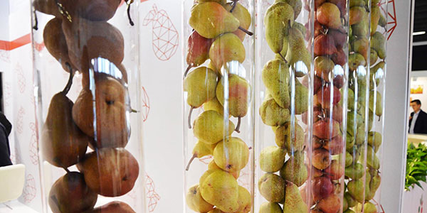 Domani a Ferrara apre FuturPera: il programma