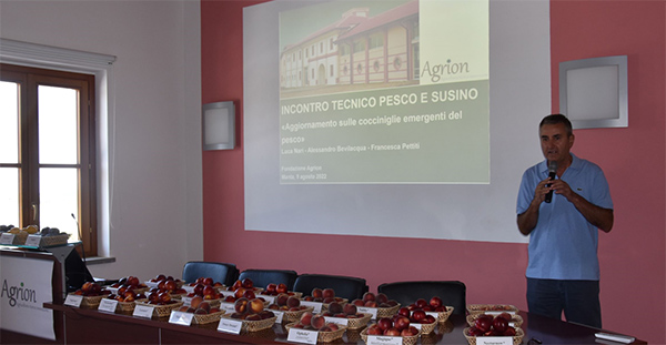 Agrion fa il punto su nuove varietà di pesco e susino