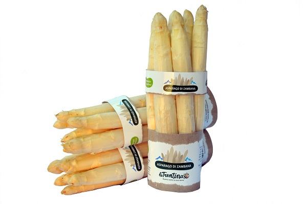 La Trentina: buone le vendite dell'asparago di Zambana