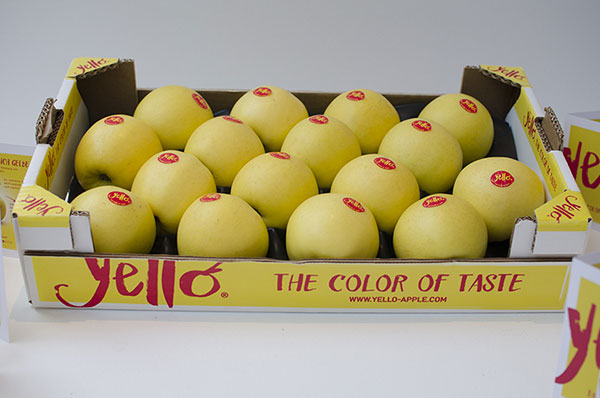 La mela yello piace a Mercati e Gdo