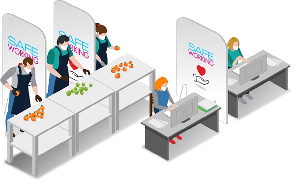 Dal cartone ondulato un nuovo dispositivo di sicurezza