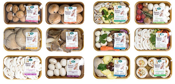 Sipo: andamento positivo per i funghi freschi