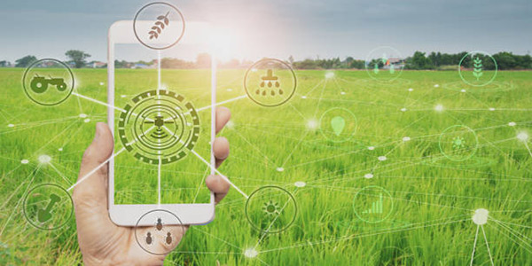 Agri-Food Track: tracciabilità e garanzia del prodotto