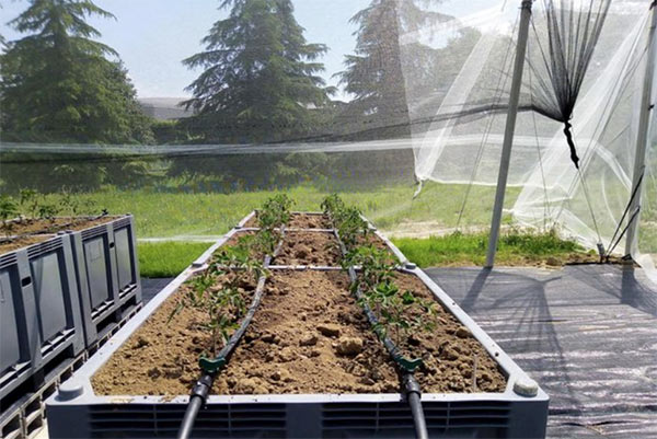 Acque reflue, una nuova vita come fertilizzanti