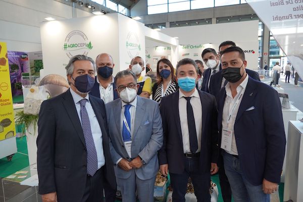 Agrocepi e l'aggregazione di filiera: «E' la strada giusta»