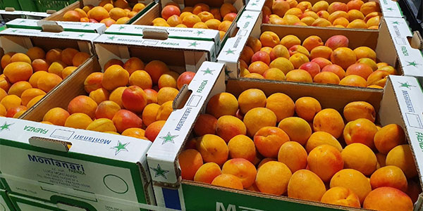 Con la frutta matura al punto giusto si può evitare la crisi