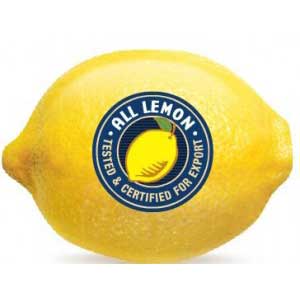 all lemon ottimista per il 2015