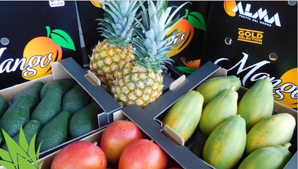 Frutta esotica, Alma: boom dei volumi, prezzi in calo