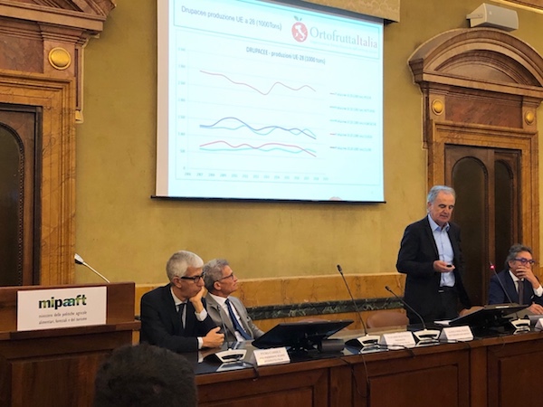 Gioco di squadra per rilanciare le pesche