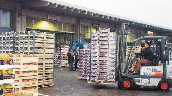 Ortaggi, estate sopra la media al Mercato di Vittoria