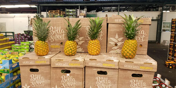 «L'ananas del Costa Rica via mare è il nostro gioiello»