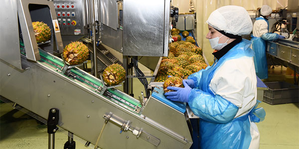 Frutta di IV gamma, Fresco Senso celebra dieci anni
