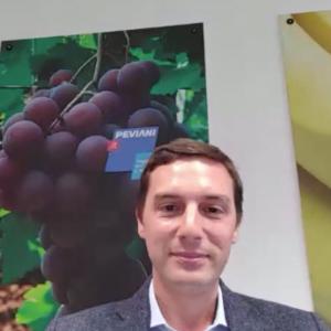 Andrea Peviani