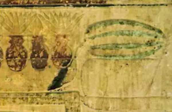 Anguria, il frutto dipinto nelle tombe dell'Antico Egitto