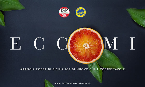 Arancia Rossa di Sicilia Igp, al via la nuova stagione