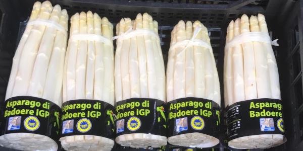 Asparago di Badoere Igp, un nuovo disciplinare