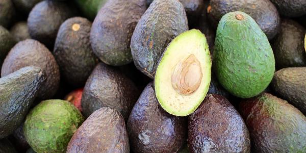 «Perché l’avocado sta avendo successo in Italia»
