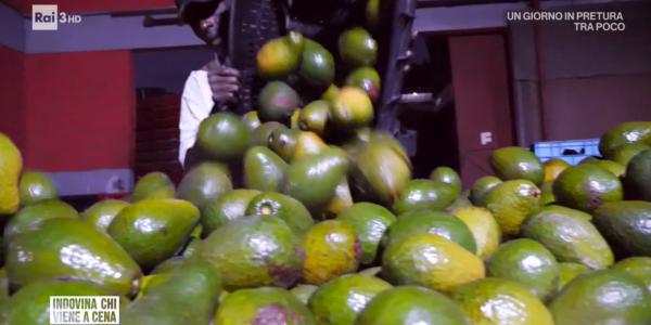 Frutta tropicale, la responsabilità della scelta