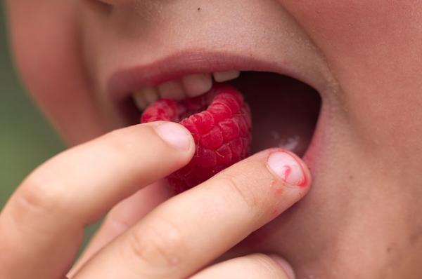 Crea: «Ecco cosa mangiano gli adolescenti»