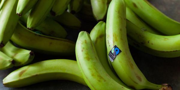 Fairtrade in aiuto ai braccianti haitiani delle banane