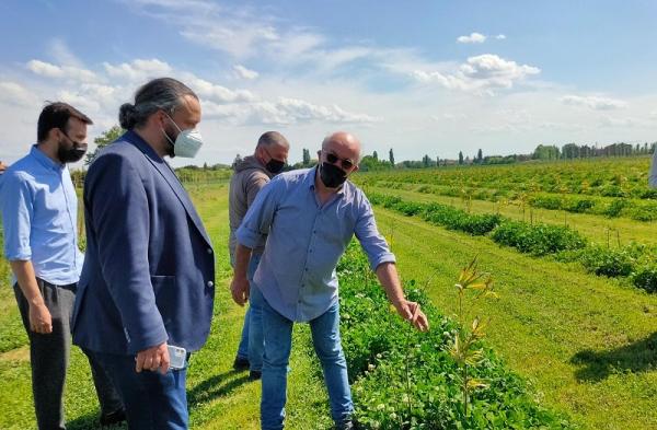 Bambù e frutta per un modello di sostenibilità
