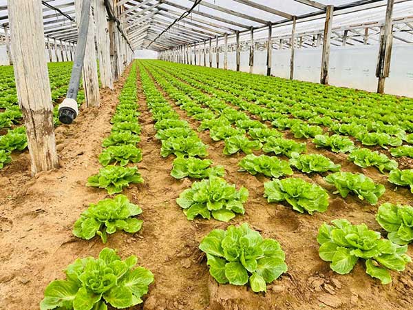 «Prima gamma evoluta, un'altra tappa della nostra crescita»