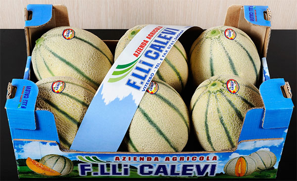 F.lli Calevi, parte la campagna del melone retato