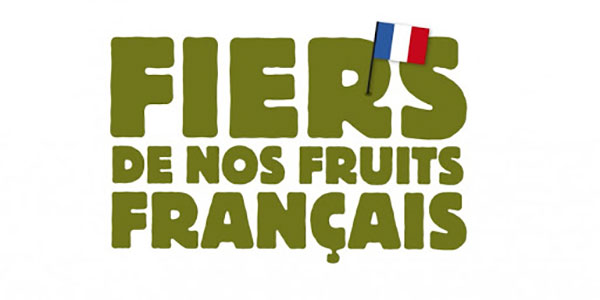 Drupacee, la Francia «produce» 31 spot televisivi 
