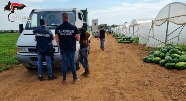 Raccolta angurie, controlli a tappeto in Salento