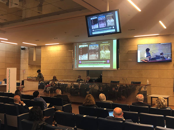 Stoccaggio del carbonio nei suoli, focus dedicato