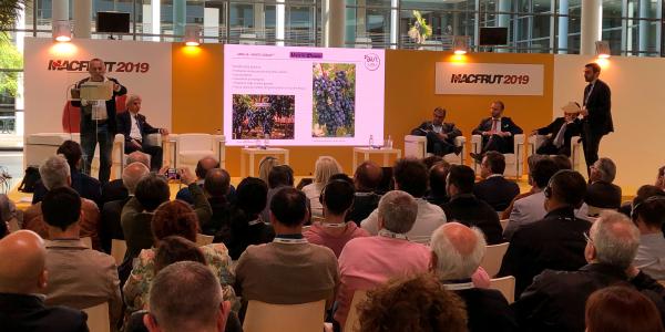 Senza semi e dal sapore moscato, ecco l'uva del futuro