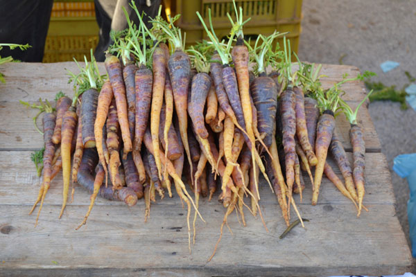 la carota di tiggiano