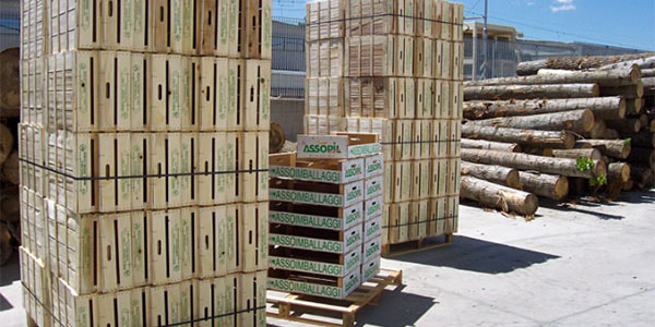 «Imballaggi in legno, difficile trovare le materie prime»