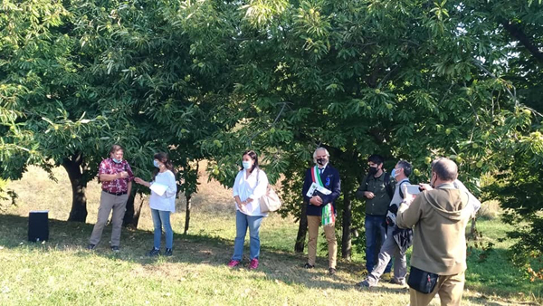 Castanicoltura, una preziosa risorsa per l'Appennino