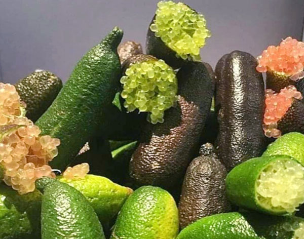 Finger Lime, una nicchia in costante crescita