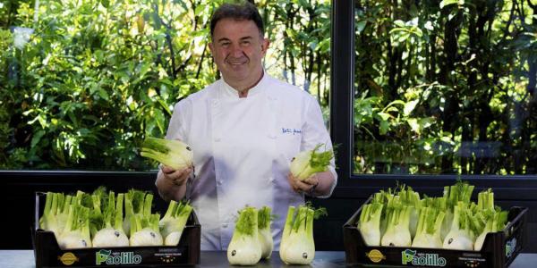 Il finocchio italiano conquista la Spagna