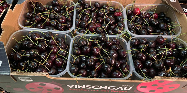 Caar di Rimini, nettarine e albicocche le più richieste