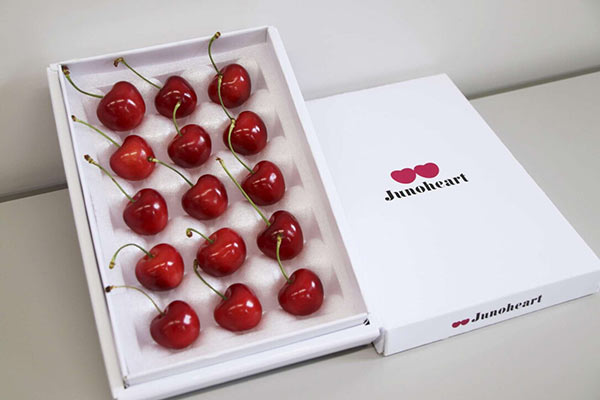 Giappone, una confezione di ciliegie venduta a 4300 euro
