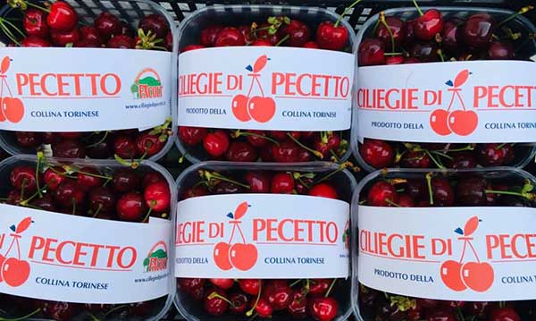 Ciliegie, il gusto extra delle varietà antiche