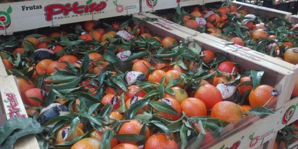 Con i profumi d'autunno si risvegliano i mercati