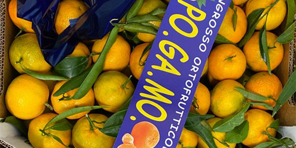 Clementine, debutta lo Spinoso italiano