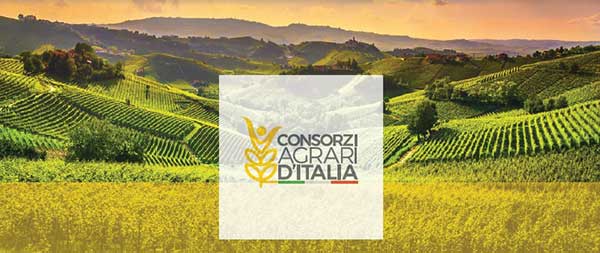 Consorzi agrari d'Italia, nel 2020 utile di 6 milioni