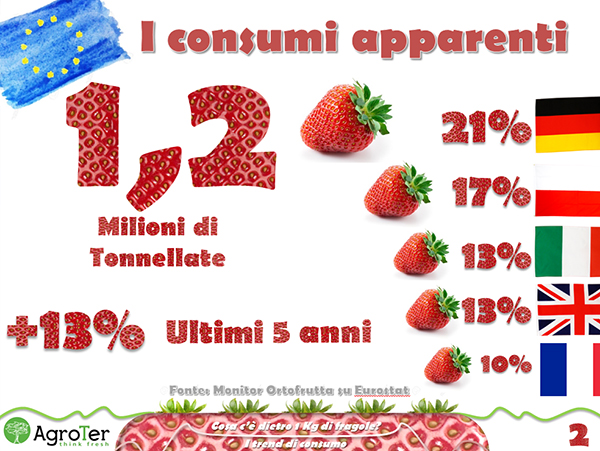 consumi-europa-fragola-2015-ifn